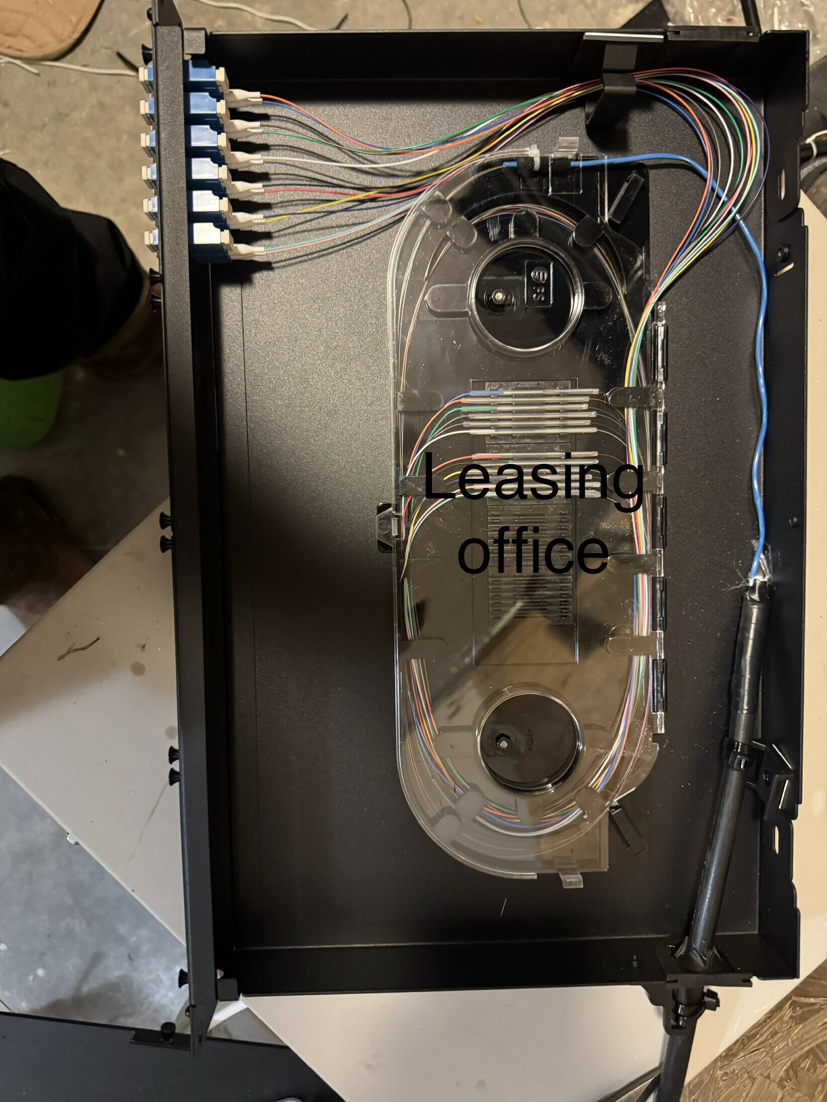 Common-area fiber strands organized inside a clear splice enclosure